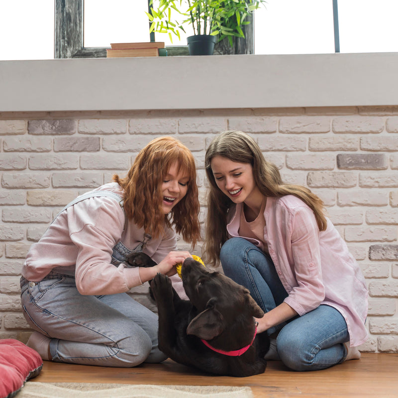Pets Products