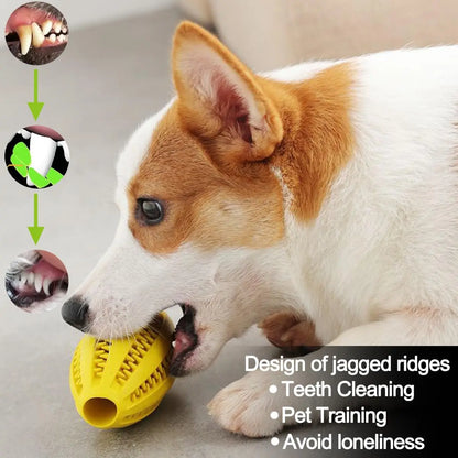 Durable Natural Rubber Dog Chew & Teeth Cleaning Ball