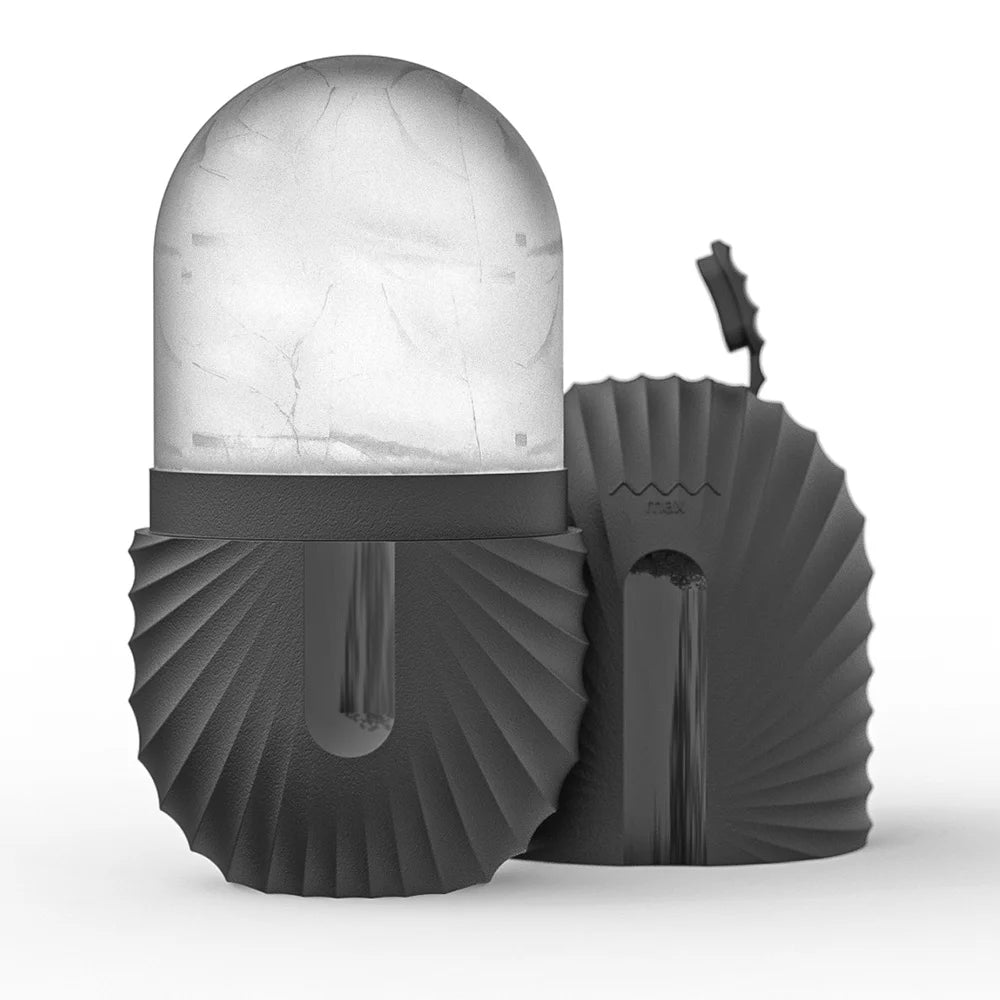 Stainless Steel Ice Face Roller & Gua Sha Set
