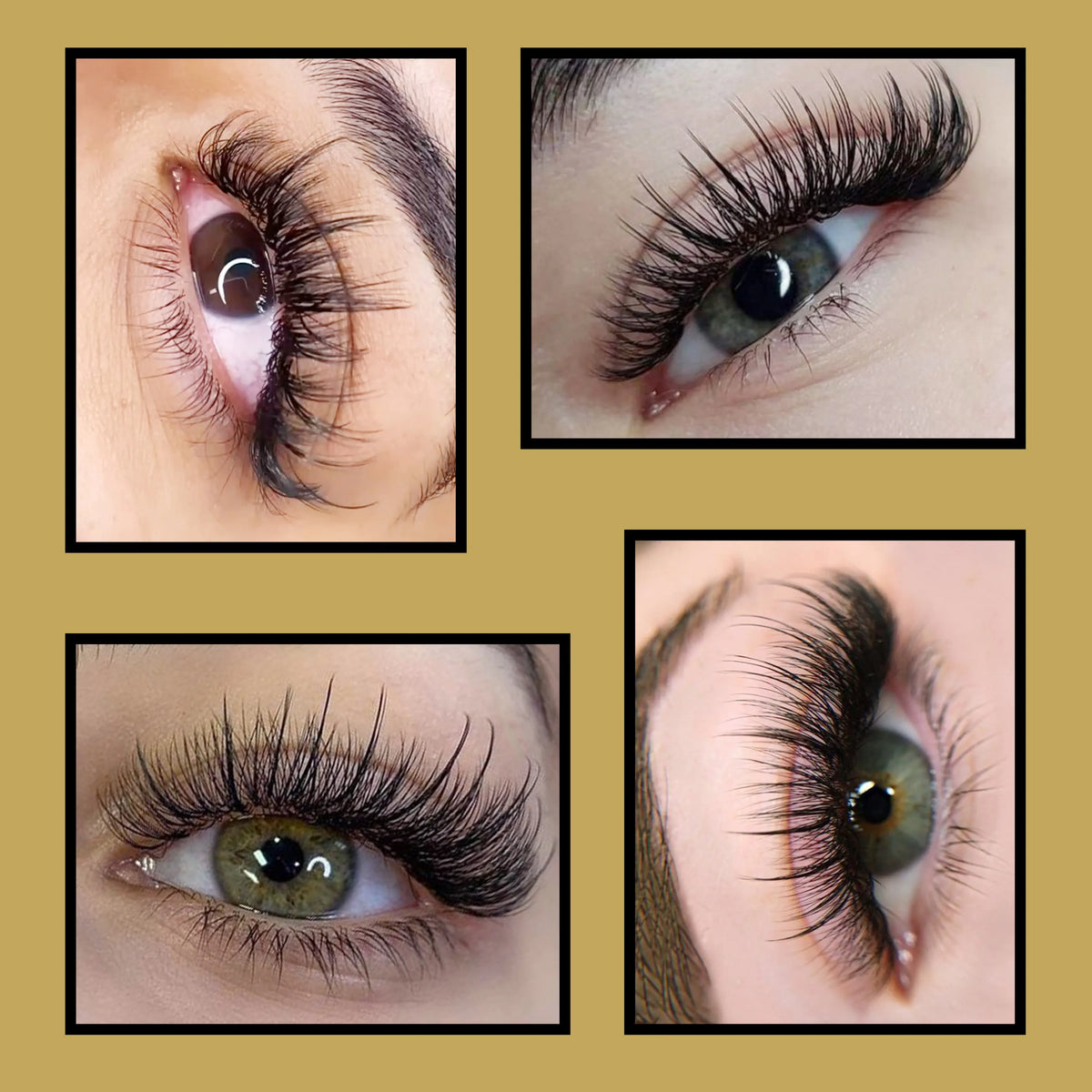 CoMango Premium 5D Flower Fairy Lashes