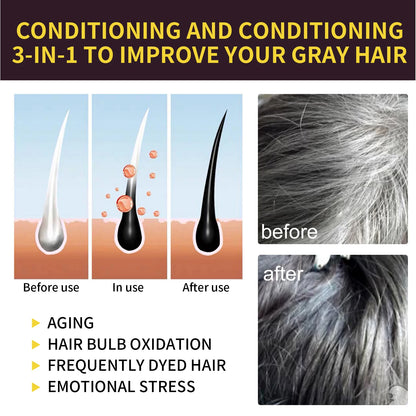 3-in-1 Black Hair Colour Shampoo