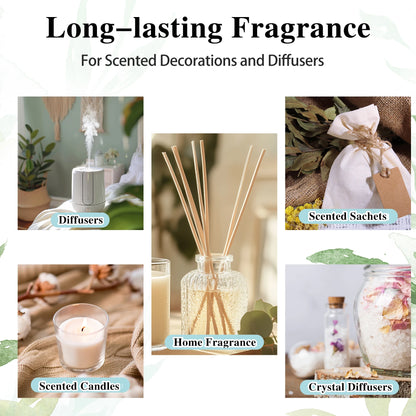 EUQEE Long-Lasting Fragrance Oil Roll-On