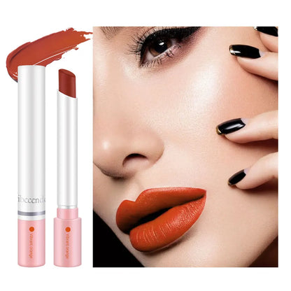 4 Colors Matte Lip Gloss Set