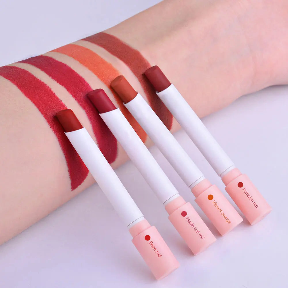 4 Colors Matte Lip Gloss Set