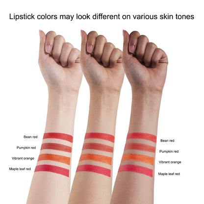 4 Colors Matte Lip Gloss Set