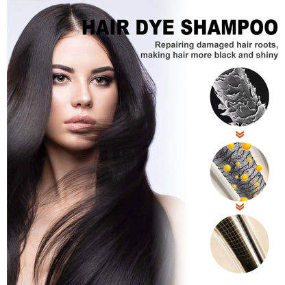 3-in-1 Black Hair Colour Shampoo