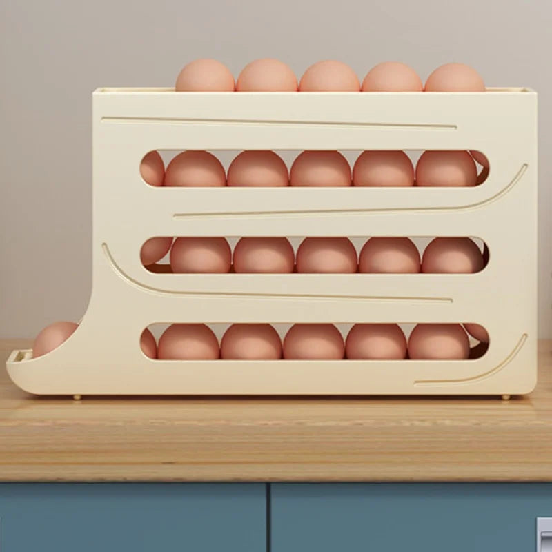 Refrigerator Egg Storage Box