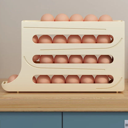 Refrigerator Egg Storage Box