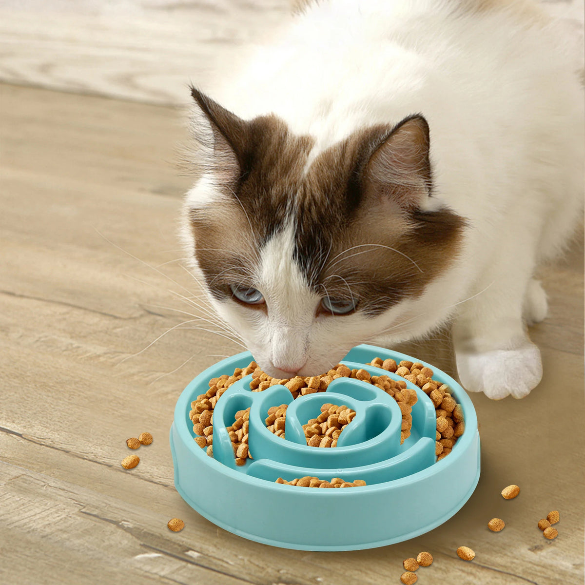 Slow Feeder Dog Bowl Anti-Gulping Pet Bowl