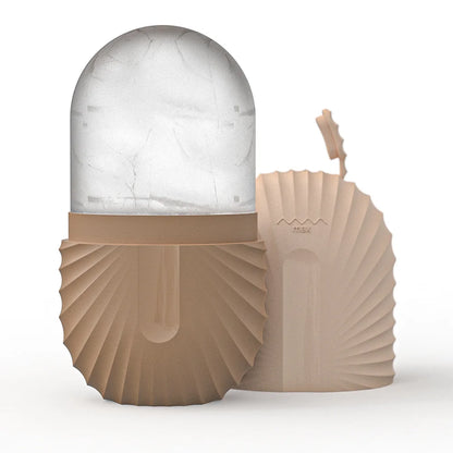 Stainless Steel Ice Face Roller & Gua Sha Set